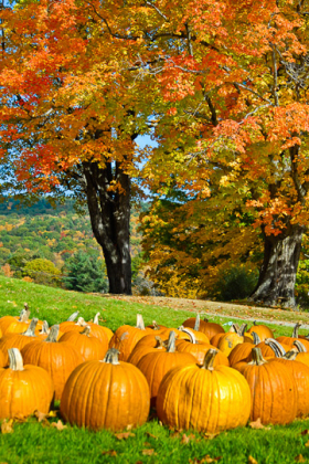 NewSalem_081015_5764