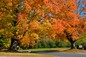 NewSalem_081015_5764_081015_5787