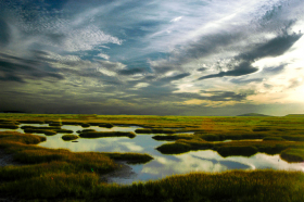 PlumIsland_A1_082702