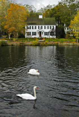Swans+House_102605_7412
