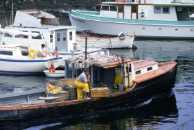 fisherman1_6806