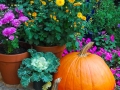20071006-D20_1996