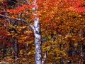 Quabbin__081015_5723