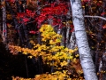 Quabbin__081015_5724