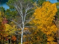 Quabbin__081015_5739