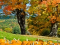 NewSalem_081015_5764