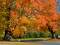 NewSalem_081015_5764_081015_5787