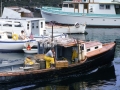 fisherman1_6806