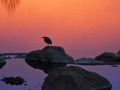 EarlyBird_080202_2531