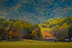 CadesCove_081028_5898