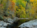 Smokys_081028_5815