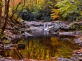 Smokys_081028_5850