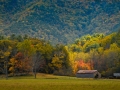 CadesCove_081028_5898