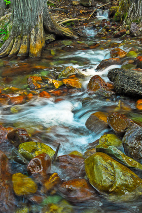 GlacierNP_070807_1306