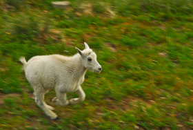 GlacierNP_070808_1420