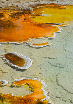 Yellowstone_080908_5248