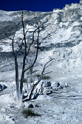MammothHS_071405_6481