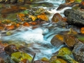 GlacierNP_070807_1306