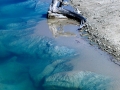 NorrisPond_071405_6546