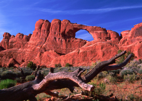 SkylineArch_Arches021