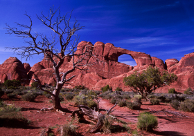 SkylineArch_Arches024