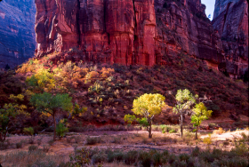 CliffLight_A111001