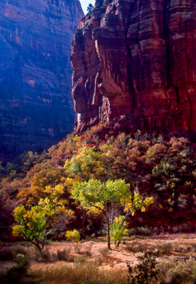 CliffLight_G111001