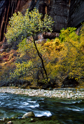Zion_E111001
