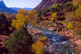 BridgeView_C111001