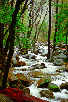 BridalVeilCreek1b_0501