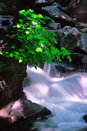 BridalVeilCreek2a_0501