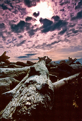 Kalaloch_B_052402
