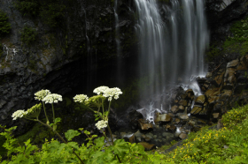 NaradaFalls_060816_8465