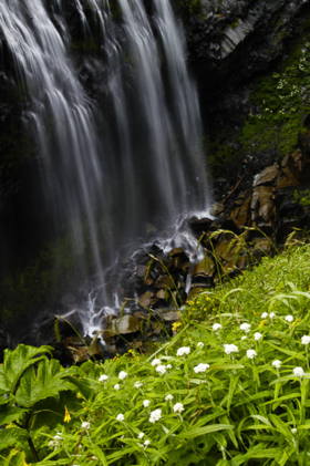 NaradaFalls_060816_8470