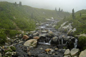 CreekInFogMedium_060816_8553