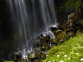 NaradaFalls_060816_8470