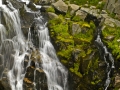 MyrtleFallsCloseUp_060816_85535