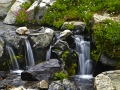 CreekCloseup_060816_8557