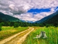 AlaskaRoad_2003_856529