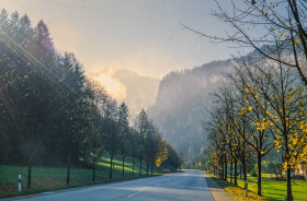 Roadside scene outside Gridnelwald, Switzerland.