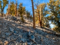 DSC_6765And4more.jpg
