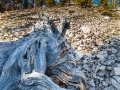 DSC_6843.jpg