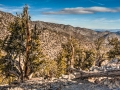 DSC_6870_1_2_3_4.jpg