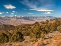 DSC_6950_1_2_3_4.jpg