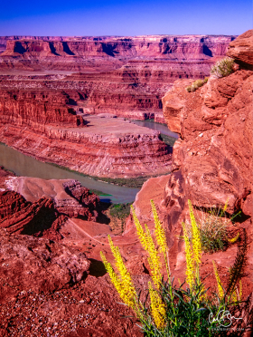 DeadHorsePoint_2001-43.jpg