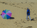 CapeCodNP_0519_081002