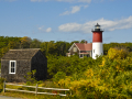 CapeCodNP_5489_081002
