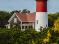 CapeCodNP_5492_081002