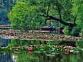 LilyPond_9405xx