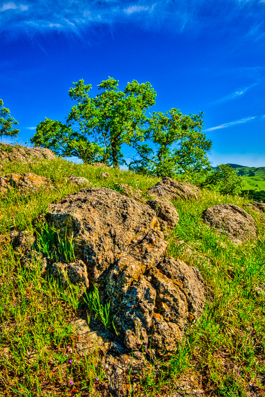 D80_0016.tiff